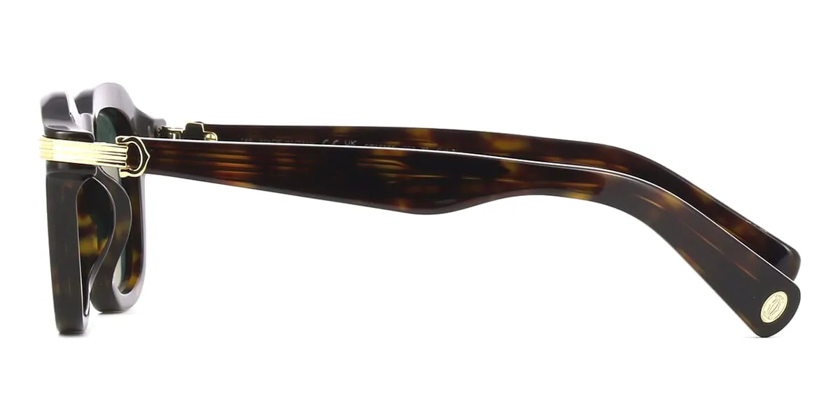 Cartier CT0536S 002