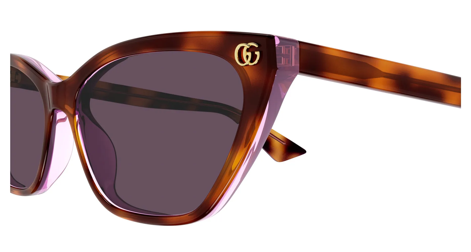 Gucci GG1815S
