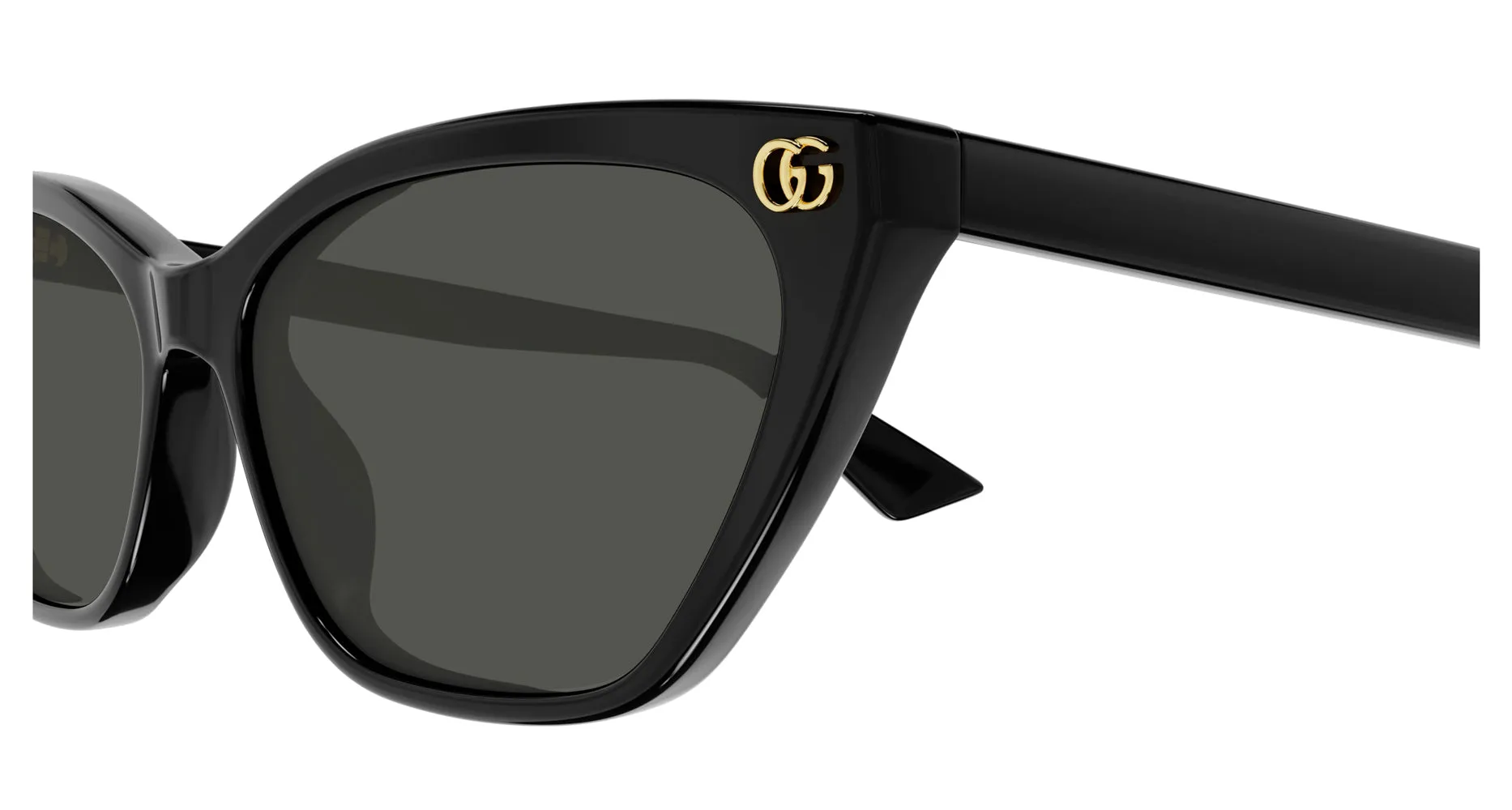 Gucci GG1815S