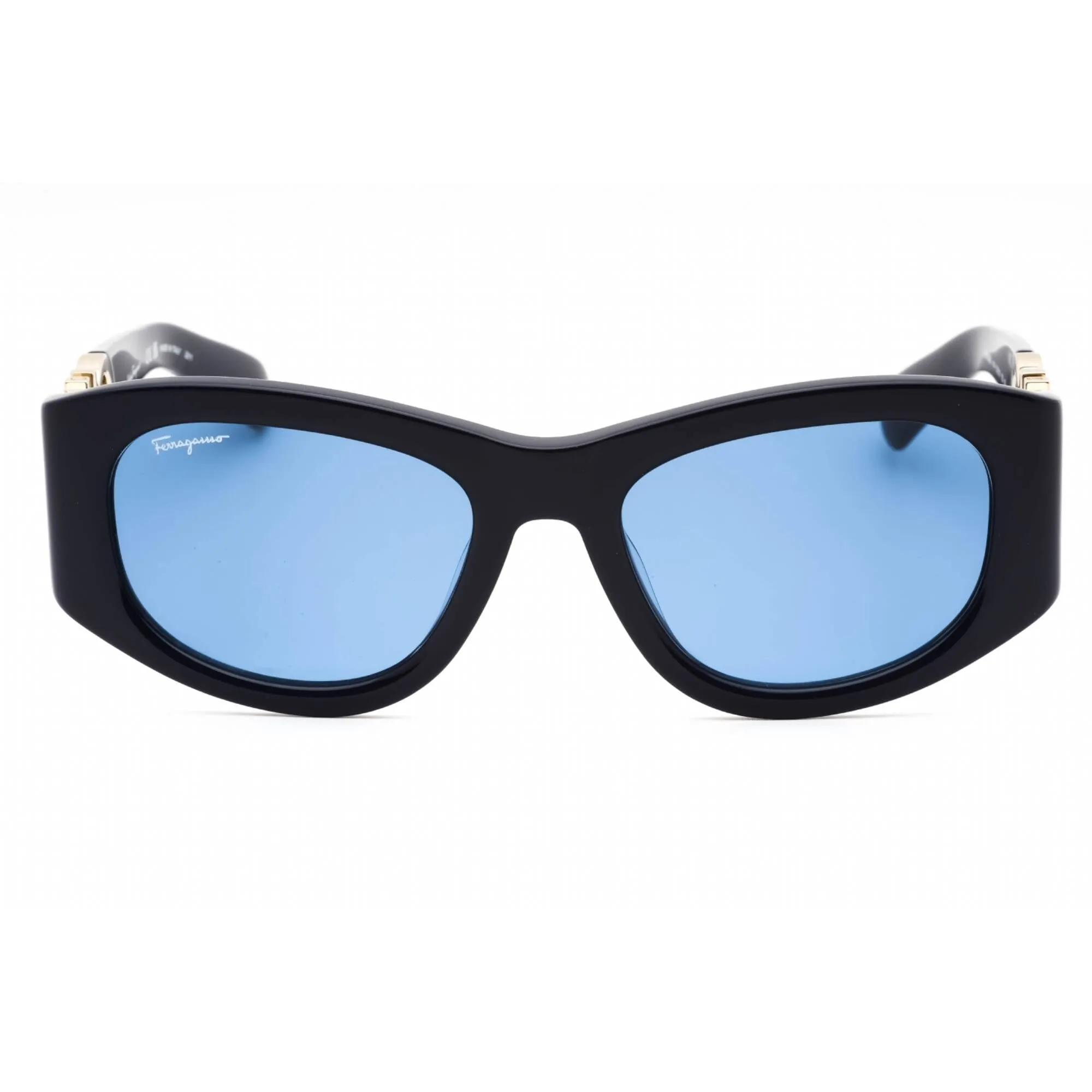 Salvatore Ferragamo Women's Sunglasses - Blue Acetate Cat Eye Frame | SF1082S 414