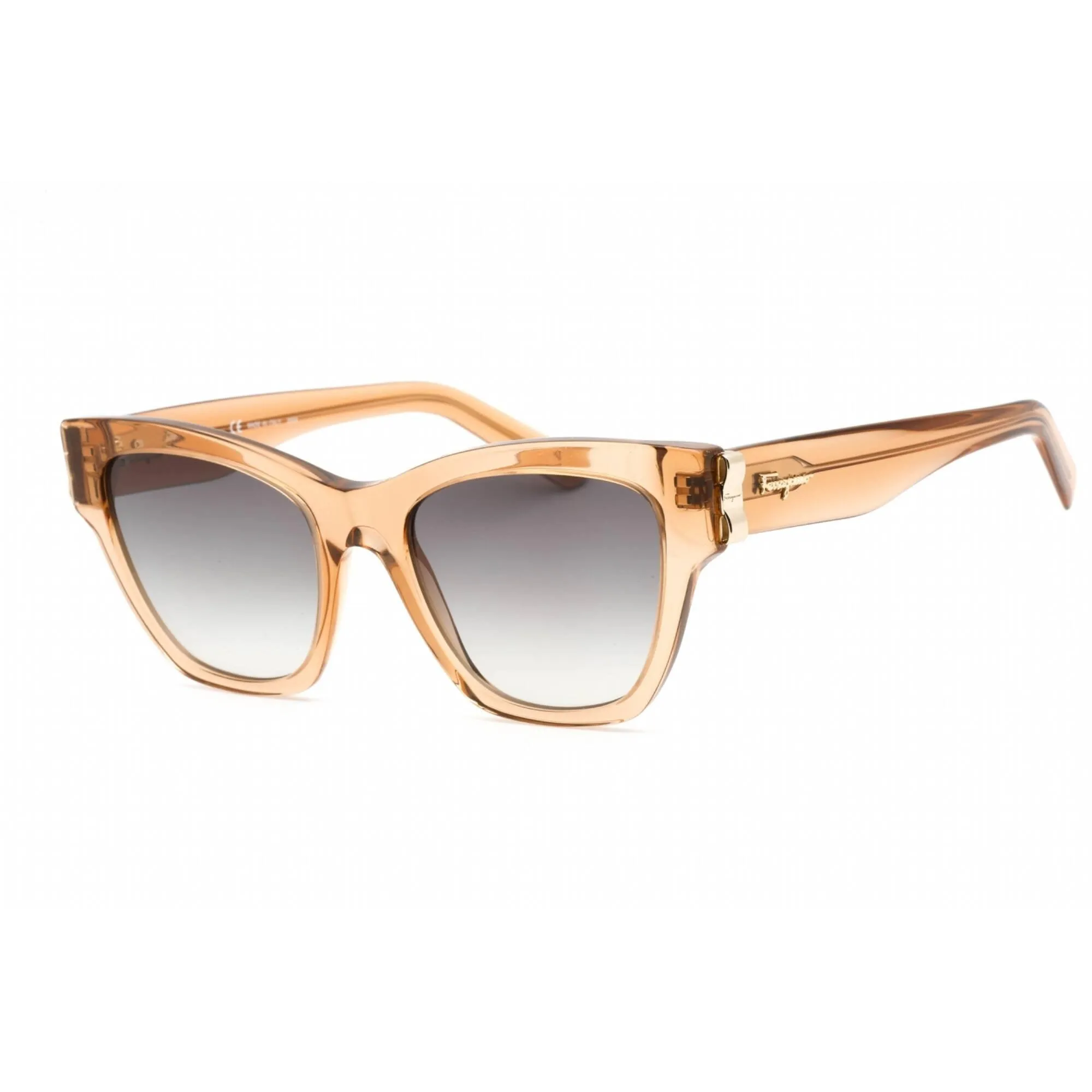 Salvatore Ferragamo Women's Sunglasses - Caramel Cat Eye Shape Frame | SF1010S 261